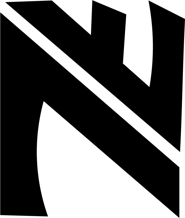 Nadine Fitness official logo – women’s fitness and health brand