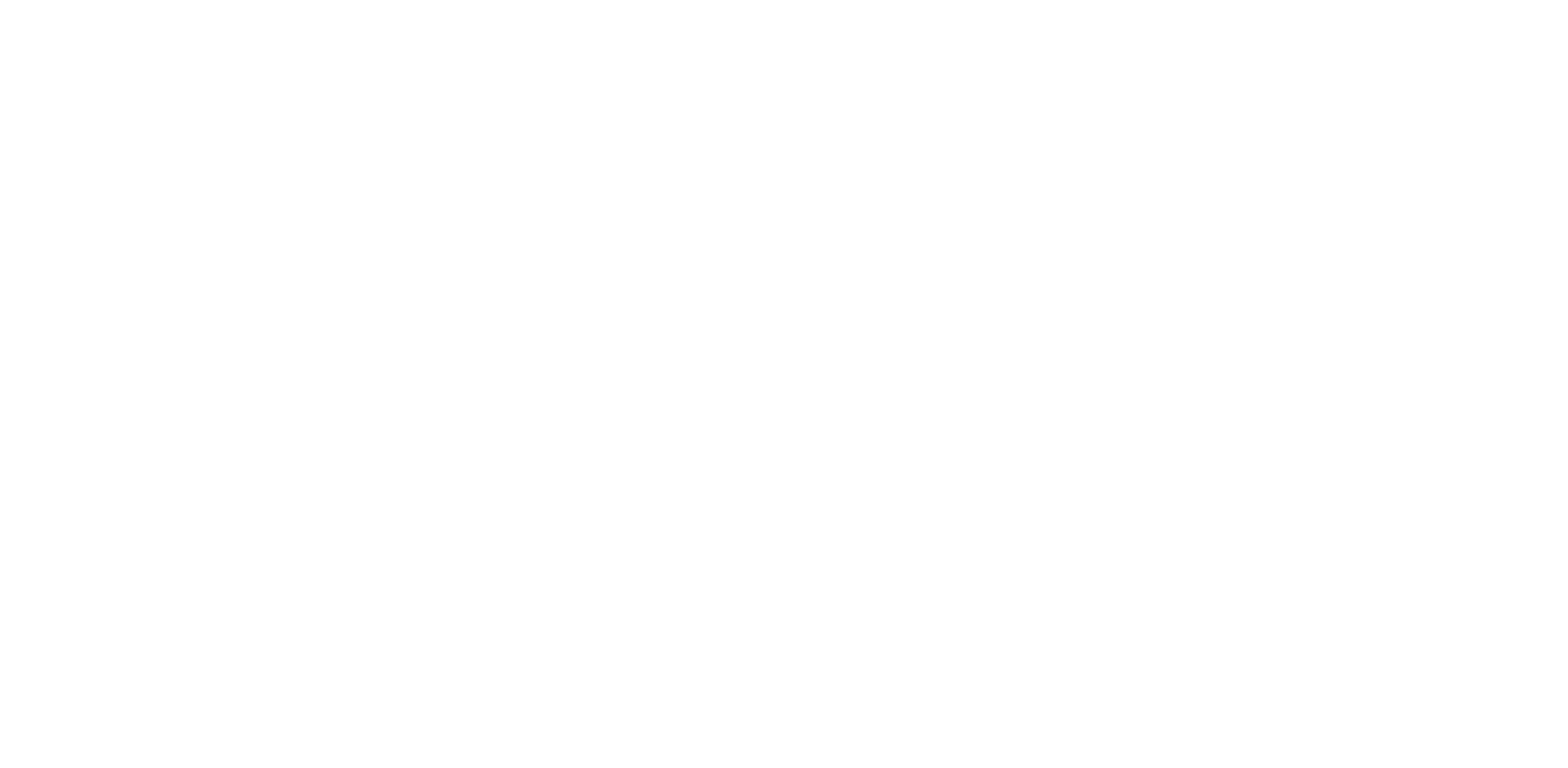 Nadine Fitness official logo – women’s fitness and health brand